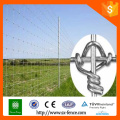 Galvanized Steel Fixed Knot Cattles Field Fencing